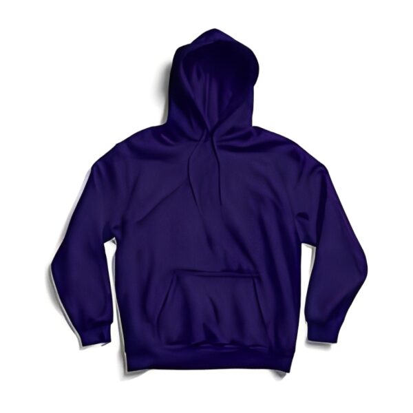 Regular Fit Pullover Hoodie